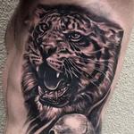 Tattoos - Tiger and Skull - 123410